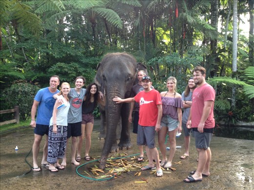 Elephant Park Bali