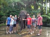 Elephant Park Bali: by danidawnandstevo, Views[308]