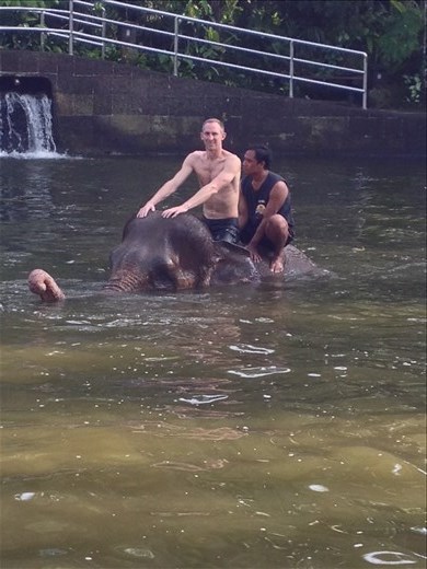 Swimming with the elephants