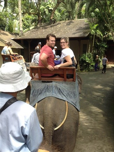 Elephant rides