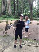 Monkey Forest: by danidawnandstevo, Views[292]