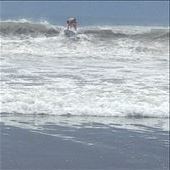 Blake catching a wave: by danidawnandstevo, Views[353]