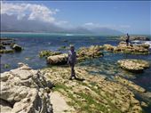 Kaikoura New Zealand: by danidawnandstevo, Views[340]