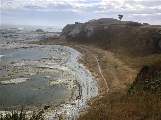 Kiakoura coastal walk. 