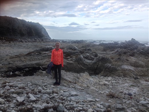 Kaikoura coastal walk. 
