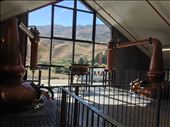 Tour of Cardrona Distillery makers of gin, vodka and whiskey. : by danidawnandstevo, Views[316]