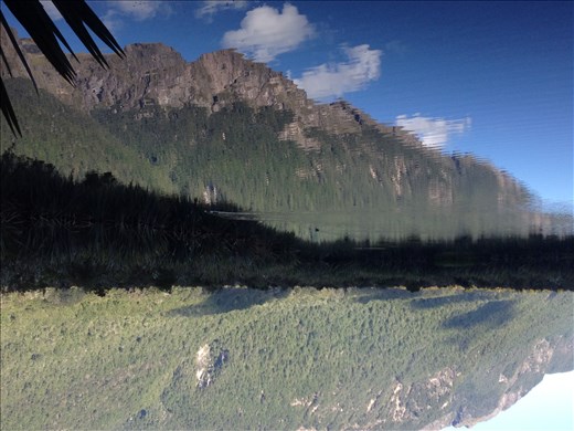 Mirror Lakes on our way to Milford Sound. 