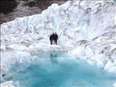 Fox Glacier pool. : by danidawnandstevo, Views[331]
