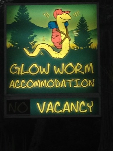 Accommodations in Franz Josef got us ready for a Glow Worm caving adventure. 