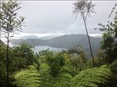 Great views of Queen Charlotte Sound : by danidawnandstevo, Views[268]