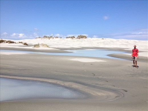 Whale strandings are a common occurrence on the spit and has claimed 680 whales since 2014. 