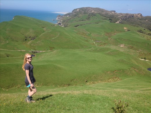 The cape and its cliffs are composed of late Cretaceous quartz sandstones. 