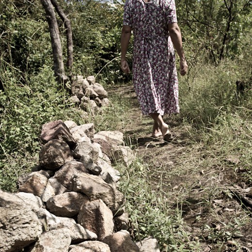 The Return to La Pintada