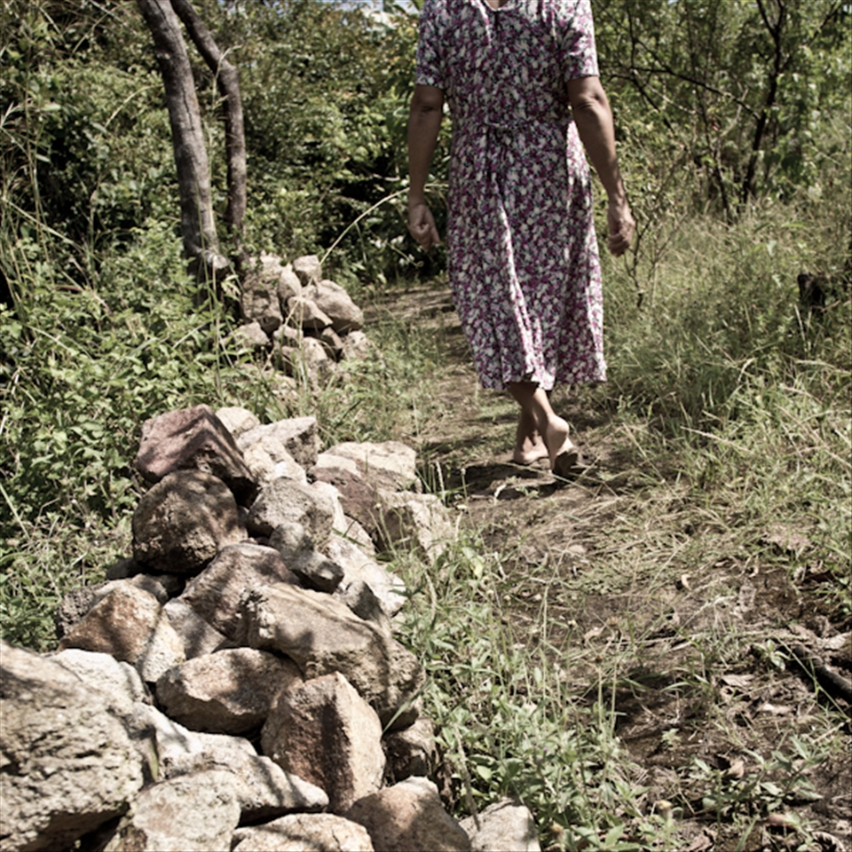 The Return to La Pintada