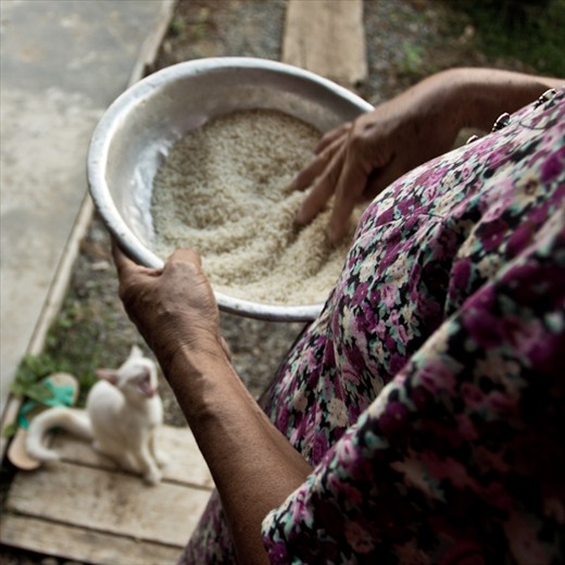 The Return to La Pintada