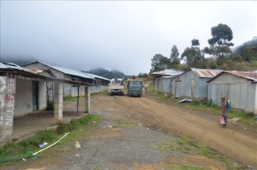 Overrun by rats and cold, only supply sheds outnumber abandoned homes here.