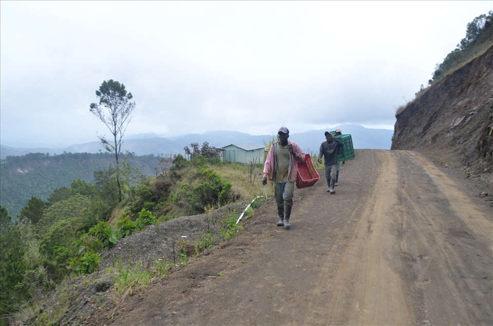 Further down the road, fathers return from the fields. Rain has been scarce. 