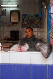 The fish market in Essaouira is rarely visited by tourists. Here you can find numerous varieties of ocean fish but the sanitary conditions are far from European standards.: by danielepanareo, Views[399]