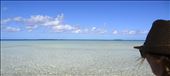 Although it looks beautiful, this reef had sunk many ships: by danielleburkhardt, Views[214]