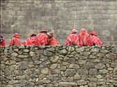 The local children in traditional dress at Machu Picchu: by daniellewatkins, Views[382]