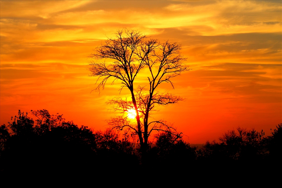 African Sunrise