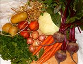 by danielsilva, Views[275]