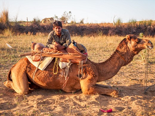 Exhausted after a long day at work, the guide enjoys a quick rest with his camel before the long return journey back home. Although tired, there is no hint of unhappiness about his simple career as a camel guide.
