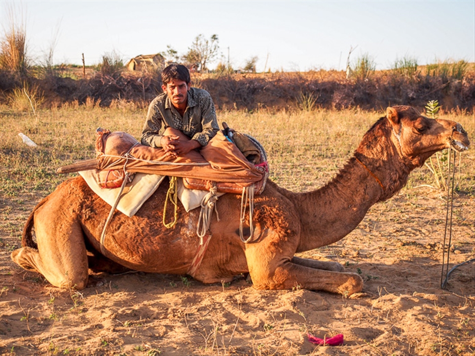 Exhausted after a long day at work, the guide enjoys a quick rest with his camel before the long return journey back home. Although tired, there is no hint of unhappiness about his simple career as a camel guide.