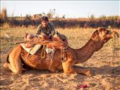 Exhausted after a long day at work, the guide enjoys a quick rest with his camel before the long return journey back home. Although tired, there is no hint of unhappiness about his simple career as a camel guide.: by danielwinsvold, Views[775]