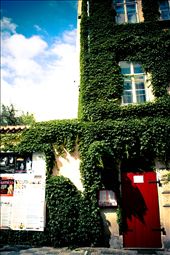 Love-heart cloud: by danihansen, Views[195]