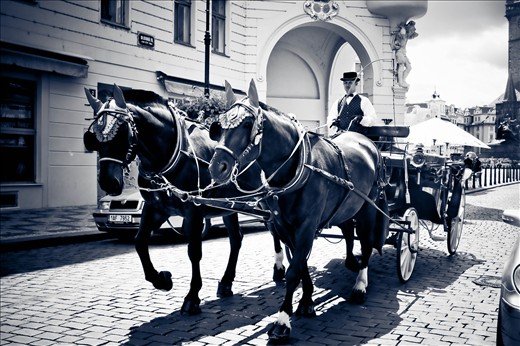 Horses in the Old Town.