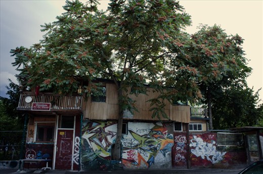 Baumhaus an der Mauer (Treehouse on the Wall)