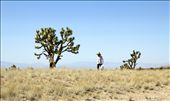 into the wild - in the desert of Nevada a man is seen walking : by danileejolly, Views[576]