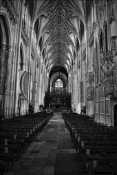 by danmurphy123, Views[231]