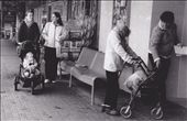 Generations (35mm): by danniec, Views[284]