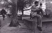 Social Media (35mm): by danniec, Views[254]