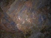 Ana Kai Tangata - cave paintings: by dannygoesdiving, Views[476]