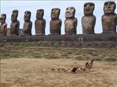 Ahu Tongariki: by dannygoesdiving, Views[205]