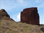 Aka Hanga - petroglyphs: by dannygoesdiving, Views[181]