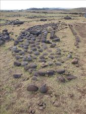 Aka Hanga - house foundations: by dannygoesdiving, Views[218]