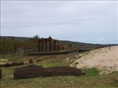 Anakena Beach - 'Ahu Nau Nau': by dannygoesdiving, Views[434]