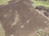 Papa Vaka - petroglyphs of hooks & an octopus: by dannygoesdiving, Views[349]