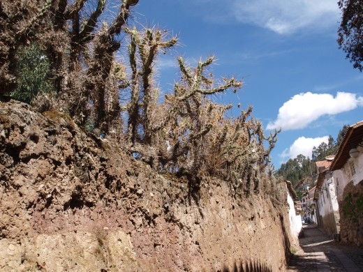 Cusco - San Blas streets