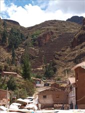 Pisac - terracing viewed from Pisac town: by dannygoesdiving, Views[371]