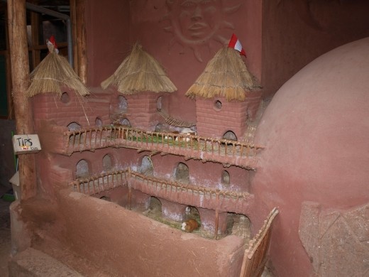 Pisac- castillos de cuyes (castles inhabited by guinea pigs !)