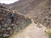 Pisac - Inca terracing: by dannygoesdiving, Views[260]