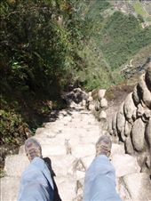 Machu Picchu - Ince steps down from Wayna Picchu: by dannygoesdiving, Views[571]