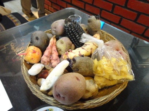 Arequipa - Hatunpa restaurant - different varieties of potato used