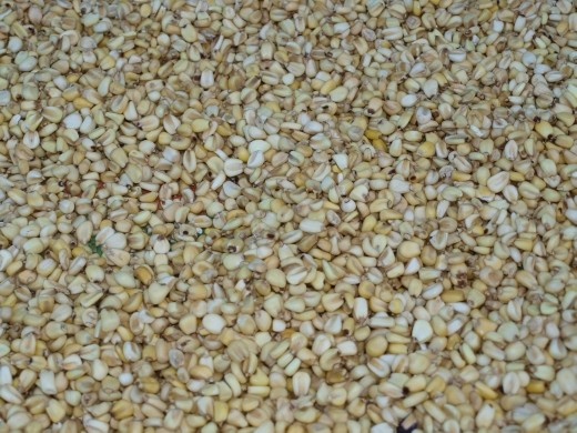 Colca Canyon - Cosnirhua  - corn from Mauricio's farm holding