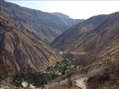 Colca Canyon - Sangalle: by dannygoesdiving, Views[358]
